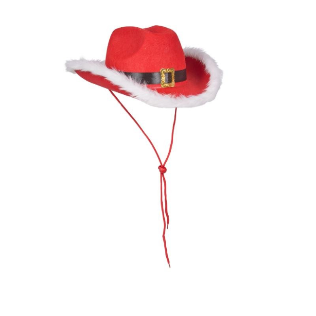 YEE HAAA FLASH! COWBOY HAT - Image 2