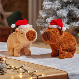 SANTABARA