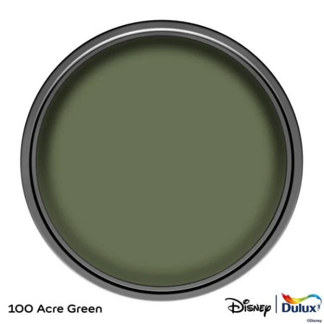 DULUX EASYCARE DISNEY WINNIE THE POOH - 100 ACRE GREEN 1.25L - Image 3