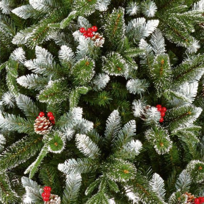 NEW JERSEY SPRUCE CHRISTMAS TREE 7FT