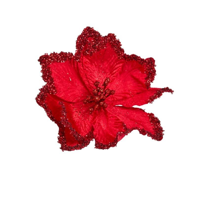 RADIANT REDS 2 STEM