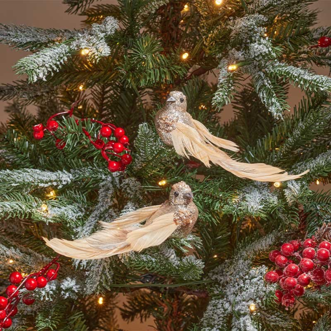 GOLD GLITTERBIRD 2PK